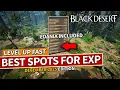 Best Grind Spots to get LEVELING EXP for EVERYONE in Black Desert December 2025