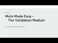 The Mule 4 Validation Module