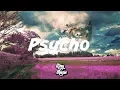 Post Malone - Psycho Lessismoore Remix