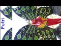 Maya - Muchsin Alatas  (Putri)
