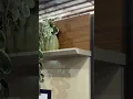 Vídeo do produto