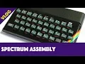 Programming the ZX Spectrum in assembly