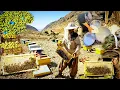 Download Lagu Geweldige documentaire over het nomadenleven | Zuivere honingoogst in Zagros