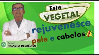 A PLANTA QUE REJUVENESCE PELE E CABELOS