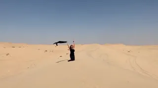 أنا بدي طير ما حدا بيلغي جناحاتي 