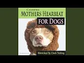 Download Lagu Rythmic Heartbeat for Dogs Relaxation