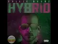 Collie Buddz - Love & Reggae [lyrics]