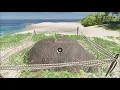 Find and Plant the Yucca-Fruit - Stranded Deep PC-Version