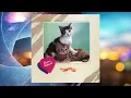 Layang Layang Terputus Talinya - Alleycats (Official Audio)