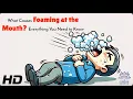 Foaming at the Mouth Symptoms Causes and What to Do