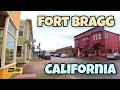 Discover Fort Bragg California A Peaceful Walk by the Pacific