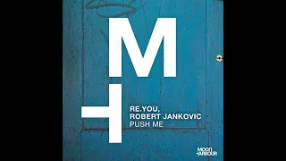 re you robert jankovic push me original mix