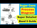 How to Describe a Process Diagram IELTS Writing Task 1 Band 9 Guide