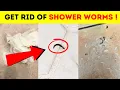 How To Get Rid Of Black Shower Worms Only 3 Steps