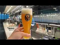 $3500 Business Class on the World's Best Airline! | Singapore Airlines | Frankfurt 🇩🇪 - NYC 🇺🇸