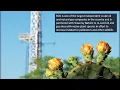 EOG Resources Pollinator Habitat on Oil and Gas Rights of Way - 2019 CW Summit