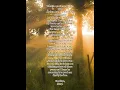 my dear arthur - not a lot, just forever (lyrics + looped)