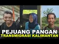 PASANGAN WANI RANTAU TANDUR JAGUNG, PAK UMAN TEBAS LAHAN! CERITA DARI KEBUN ASIAN SURVIVOR