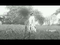 taylor swift - august/betty/cardigan/willow (transition)