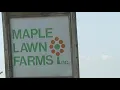 York County s Maple Lawn Farms invites visitors to pick peaches each summer