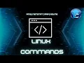 VPN In A Box Lesson 8 - Common Linux Commands