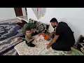 Download Lagu Morteza's sister Manijeh has returned from the mental hospital and is harassing Elham  her children