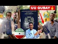 Download Lagu DAAWO WIIL CALANKA SOMALIYA HARGEYSA KU GUBAY OO LA GARAACAY \u0026 SABAB YAAB LEH IYO DADKII OO KACAY
