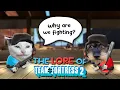 Why Exactly Are We Fighting In TF2