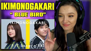 Download Ikimonogakari - Blue Bird | THE FIRST TAKE | FIRST TIME REACTION MP3