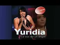 Yuridia - Déjame Volver Contigo (Cover Audio)