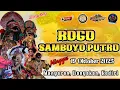 Download Lagu Live jaranan hari ini ROGO SAMBOYO PUTRO di Manyaran Banyakan Kediri Pelangi Audio