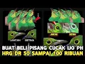 ASAL DAPET BUAT BELI PISANG !! CUCAK IJO HARGA DR 50 SAMPAI 100 RIBUAN JTN 400 RIBU DI PASAR PRAMUKA