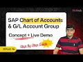 SAP Chart of Accounts GL Master Group Concept Configuration - Step By Step Part-14