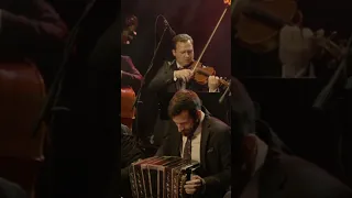 Our Messi Argentina Tango Bandoneon Play Playing Milonga Love Football Music Accordion 