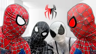 2 Red Spider-Man?? || Hey Everyone, Who's the Real One Here??? (Live Action)