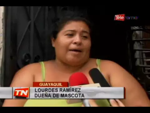 MSP realiza campaña de vacunación para mascotas