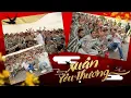 Download Lagu Xuân Yêu Thương (Remix) - Đàm Vĩnh Hưng | Mang xuân về trại giam 2023