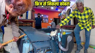 हैरतंगेज वीडियो देखके रोंगटे खड़े हो जायेंगे, फ्रिज के बॉडी के अन्दर जहरीला कोबरा साँप Amazing, snake
