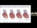 Cardiovascular Genetics from Diagnosis to Therapy