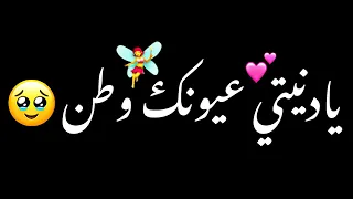 يا دنيتي عيونك وطن   شاشه سوداء حالات واتس بدون حقوق ترند تيك توك اغاني      دندنها