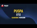 Download Lagu ST12 - PUSPA (Karaoke)