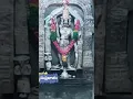 Lagu Sree kothakonda veerabhadra swamy suprabhatam #kothakonda #reels #instareels #god #bhadrakali #reel