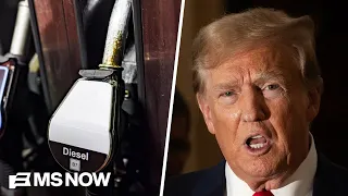 GOP Senator: Trump’s Russia diesel deal ‘legitimate case’ of him BREAKING the law
