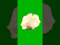 Download Lagu bomb blast free green screen clip for editing #shorts #freeeditingclips #greenscreen #memes #meme