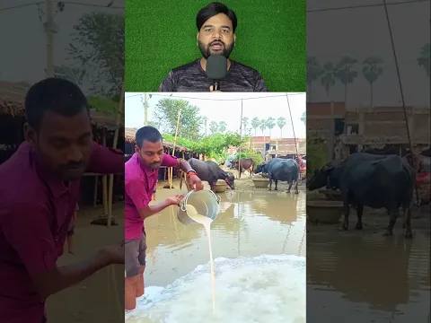 दूध बढ़ के पानी में चढ़ा दिया
