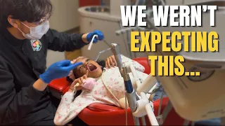 Mikko Routine Dental Cleaning Turned Into An Emergency