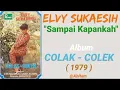 ELVY SUKAESIH _ SAMPAI KAPANKAH