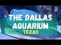 The Dallas World Aquarium Texas Quick Tour