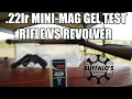CCI MINI-MAG HP Long Barrel vs Short Barrel in Ballistic Gel