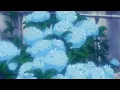 Download Lagu PRYVT - blue salvia (Lyrics)